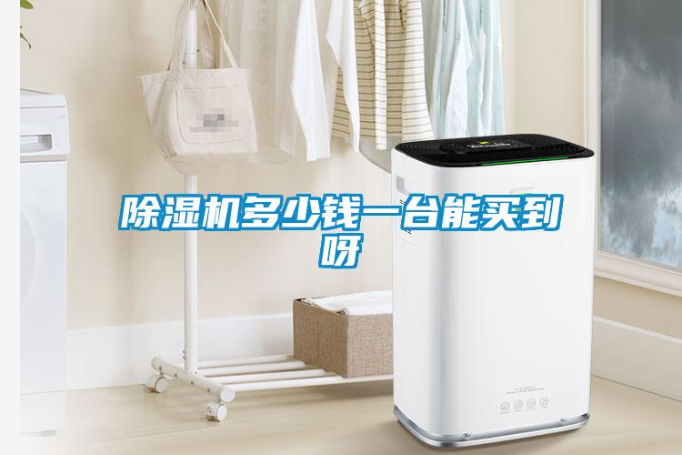 除濕機多少錢(qián)一臺能買(mǎi)到呀