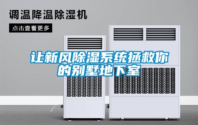 讓新風(fēng)除濕系統拯救你的別墅地下室