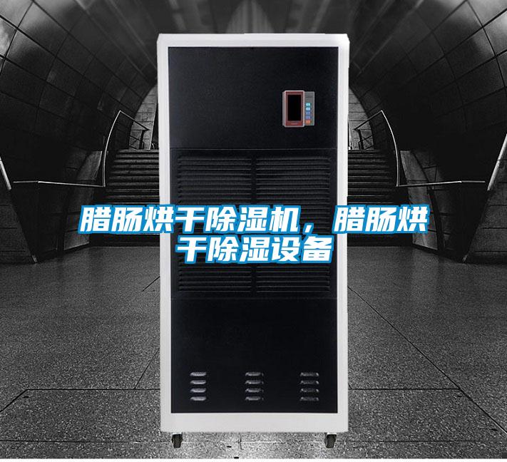 臘腸烘干除濕機，臘腸烘干除濕設備