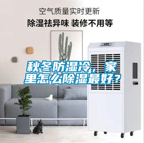 秋冬防濕冷，家里怎么除濕最好？
