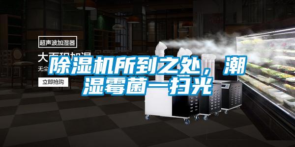 除濕機所到之處，潮濕霉菌一掃光
