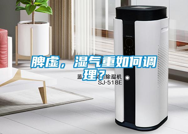 脾虛，濕氣重如何調理？