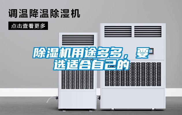除濕機用途多多，要選適合自己的