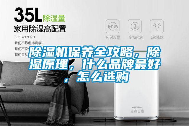 除濕機保養全攻略，除濕原理，什么品牌最好，怎么選購