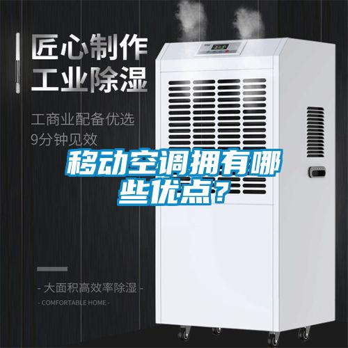 移動(dòng)空調擁有哪些優(yōu)點(diǎn)？