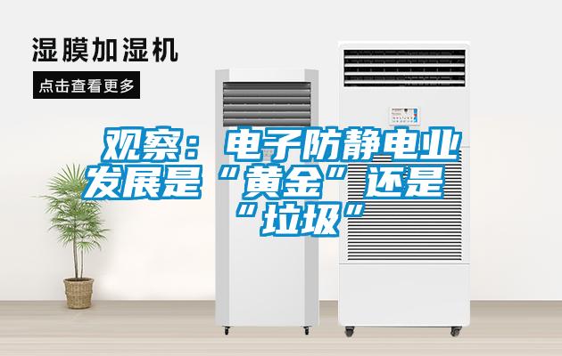 觀(guān)察：電子防靜電業(yè)發(fā)展是“黃金”還是“垃圾”
