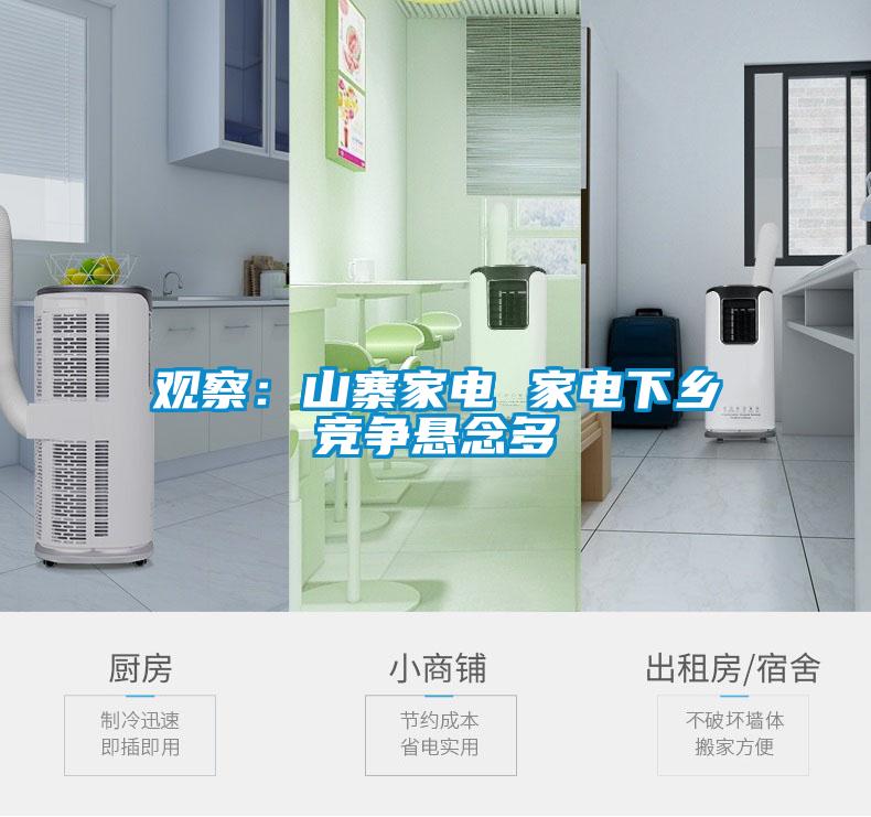 觀(guān)察：山寨家電 家電下鄉競爭懸念多