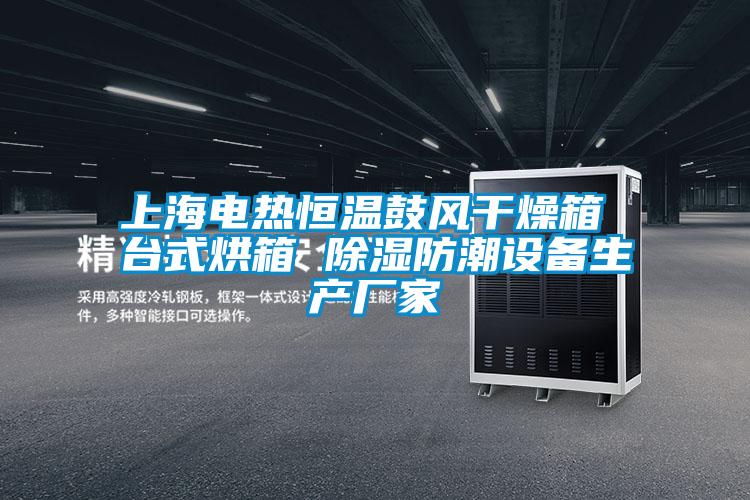 上海電熱恒溫鼓風(fēng)干燥箱 臺式烘箱 除濕防潮設備生產(chǎn)廠(chǎng)家
