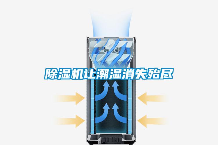 除濕機讓潮濕消失殆盡