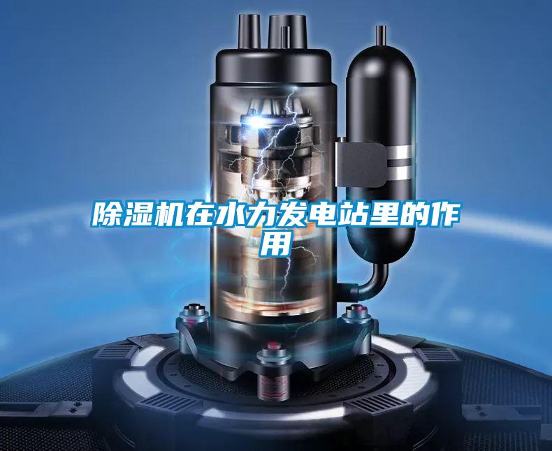除濕機在水力發(fā)電站里的作用