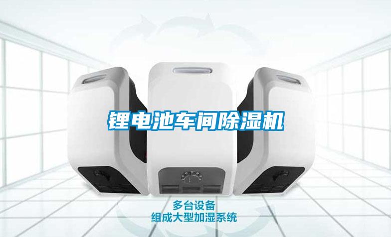 鋰電池車(chē)間除濕機