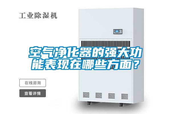 空氣凈化器的強大功能表現在哪些方面？