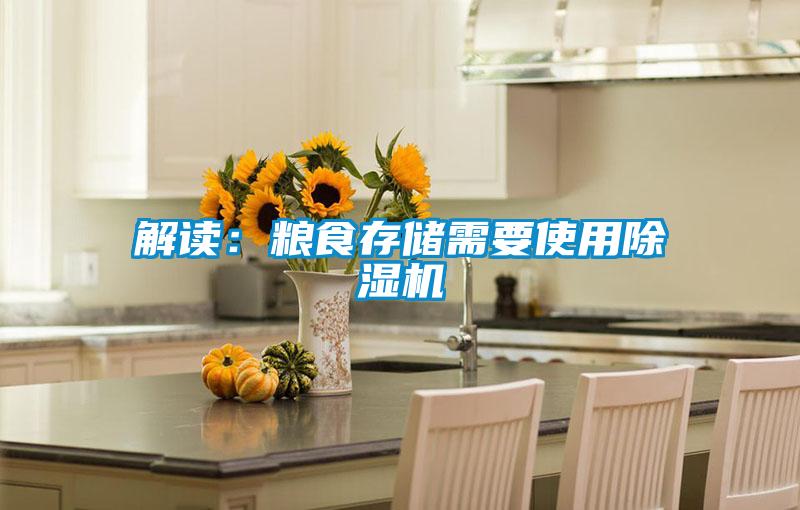 解讀：糧食存儲需要使用除濕機