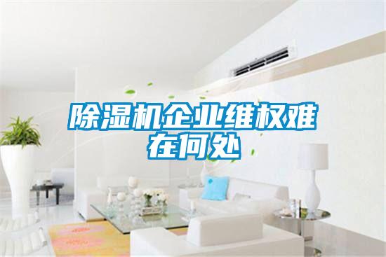 除濕機企業(yè)維權難在何處