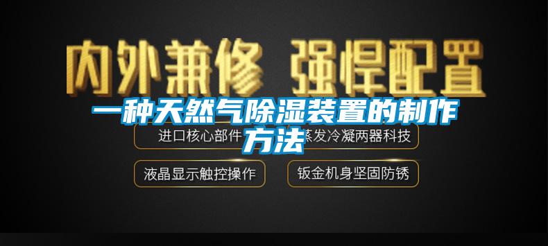 一種天然氣除濕裝置的制作方法