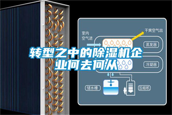 轉型之中的除濕機企業(yè)何去何從