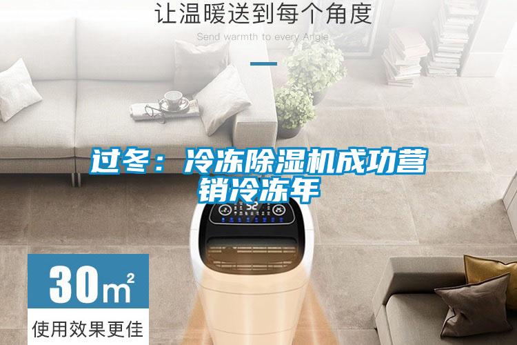 過(guò)冬：冷凍除濕機成功營(yíng)銷(xiāo)冷凍年