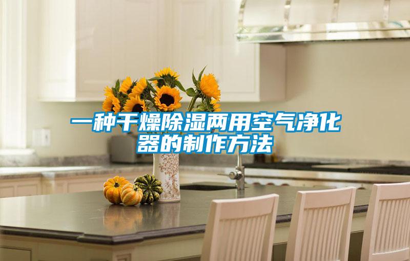 一種干燥除濕兩用空氣凈化器的制作方法