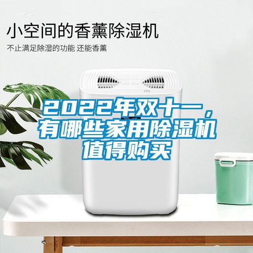 2022年雙十一，有哪些家用除濕機值得購買(mǎi)