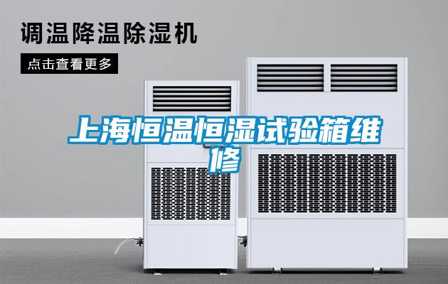 上海恒溫恒濕試驗箱維修