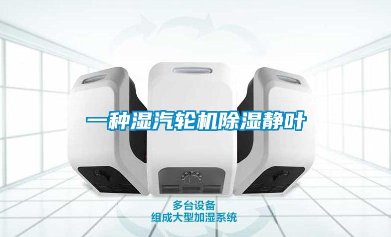 一種濕汽輪機除濕靜葉