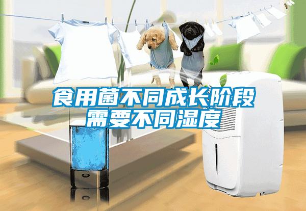 食用菌不同成長(cháng)階段需要不同濕度