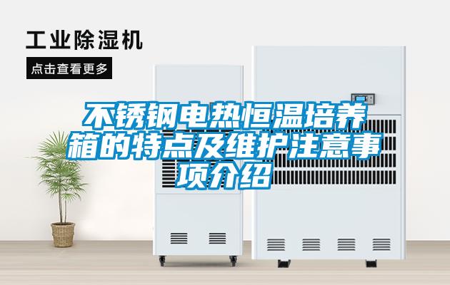 不銹鋼電熱恒溫培養箱的特點(diǎn)及維護注意事項介紹
