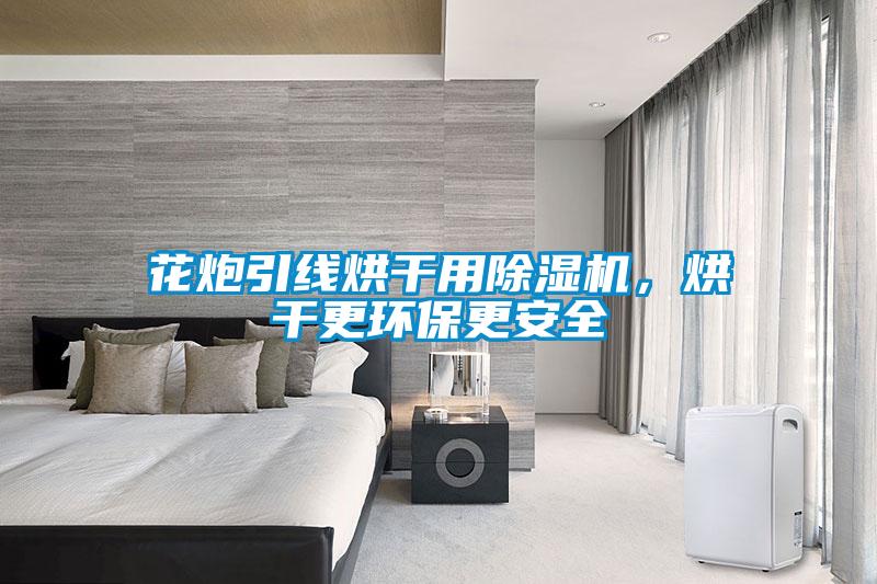花炮引線(xiàn)烘干用除濕機，烘干更環(huán)保更安全