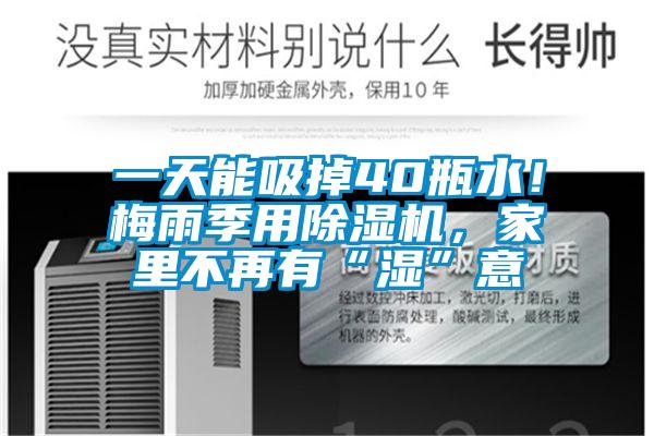 一天能吸掉40瓶水！梅雨季用除濕機，家里不再有“濕”意