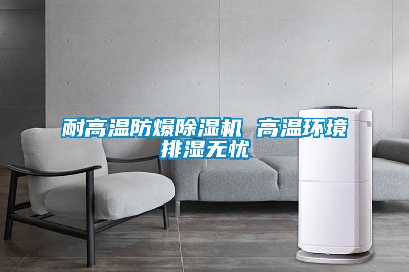 耐高溫防爆除濕機 高溫環(huán)境排濕無(wú)憂(yōu)