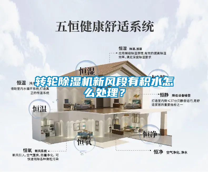 轉輪除濕機新風(fēng)段有積水怎么處理？