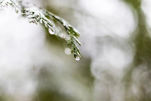 空氣濕度大帶來(lái)的危害有哪些，你知道嗎？