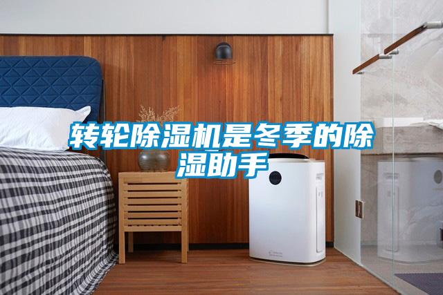 轉輪除濕機是冬季的除濕助手
