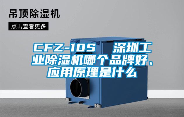 CFZ-10S  深圳工業(yè)除濕機哪個(gè)品牌好、應用原理是什么