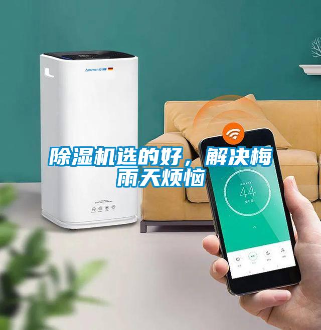除濕機選的好，解決梅雨天煩惱