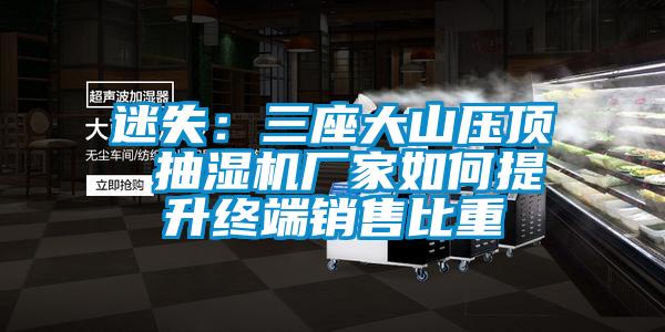 迷失：三座大山壓頂 抽濕機廠(chǎng)家如何提升終端銷(xiāo)售比重