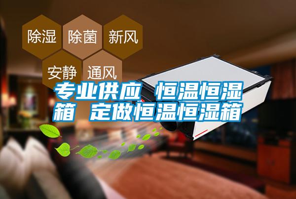 專(zhuān)業(yè)供應 恒溫恒濕箱 定做恒溫恒濕箱