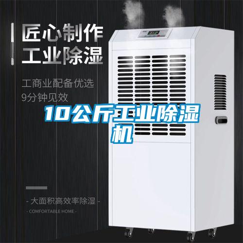 10公斤工業(yè)除濕機