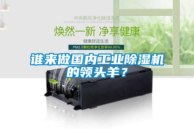 誰(shuí)來(lái)做國內工業(yè)除濕機的領(lǐng)頭羊？