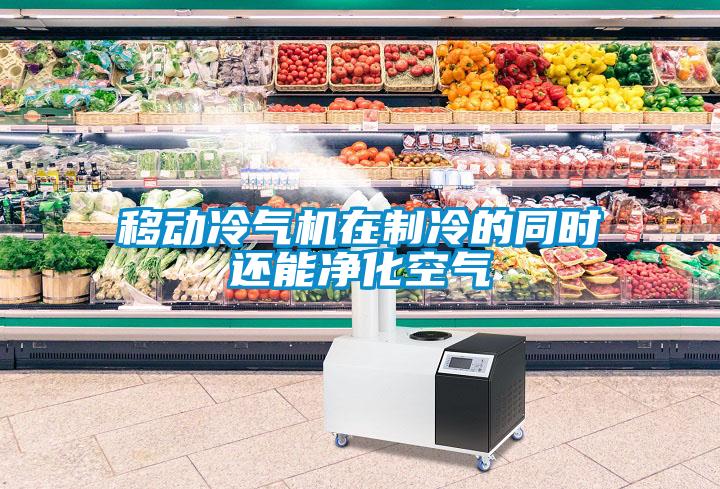 移動(dòng)冷氣機在制冷的同時(shí)還能凈化空氣