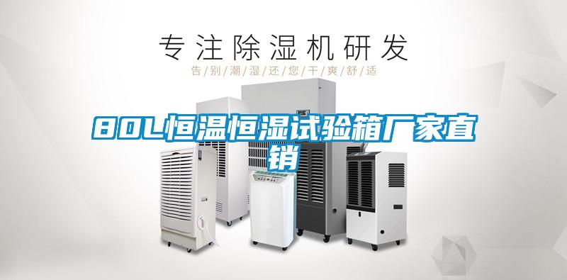 80L恒溫恒濕試驗箱廠(chǎng)家直銷(xiāo)