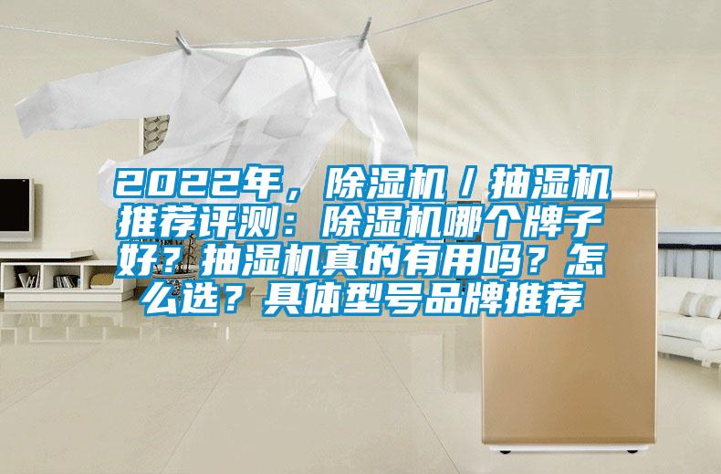 2022年，除濕機／抽濕機推薦評測：除濕機哪個(gè)牌子好？抽濕機真的有用嗎？怎么選？具體型號品牌推薦