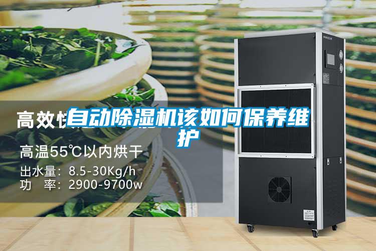 自動(dòng)除濕機該如何保養維護