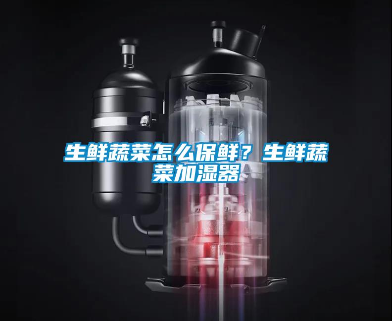 生鮮蔬菜怎么保鮮？生鮮蔬菜加濕器