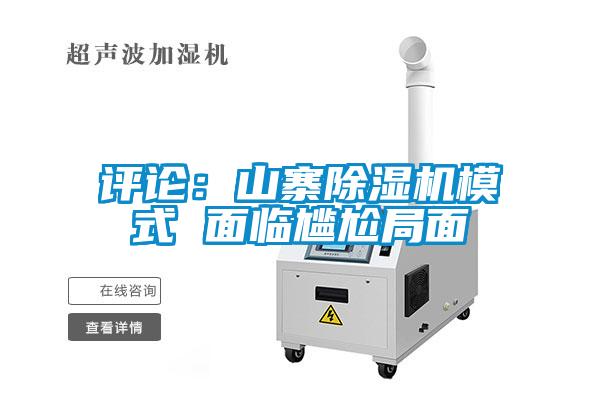 評論：山寨除濕機模式 面臨尷尬局面