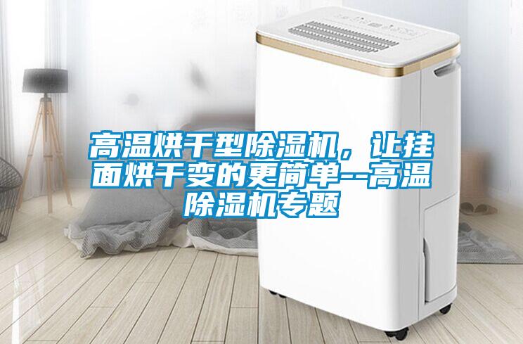 高溫烘干型除濕機，讓掛面烘干變的更簡(jiǎn)單--高溫除濕機專(zhuān)題