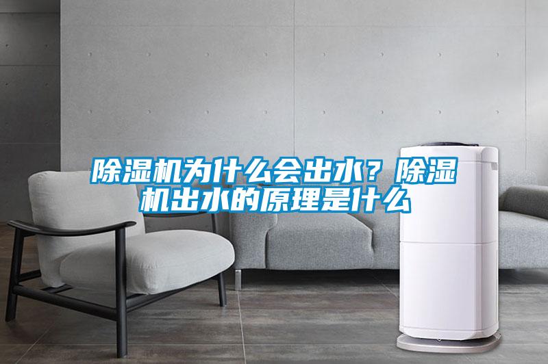 除濕機為什么會(huì )出水？除濕機出水的原理是什么