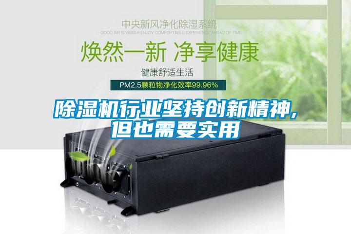 除濕機行業(yè)堅持創(chuàng  )新精神,但也需要實(shí)用