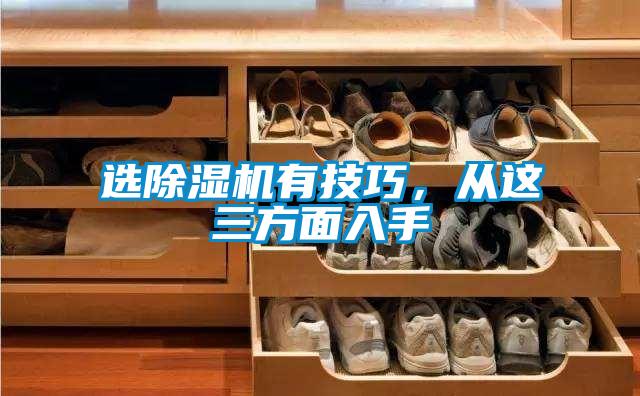 選除濕機有技巧，從這三方面入手