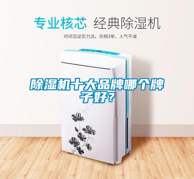 除濕機十大品牌哪個(gè)牌子好？